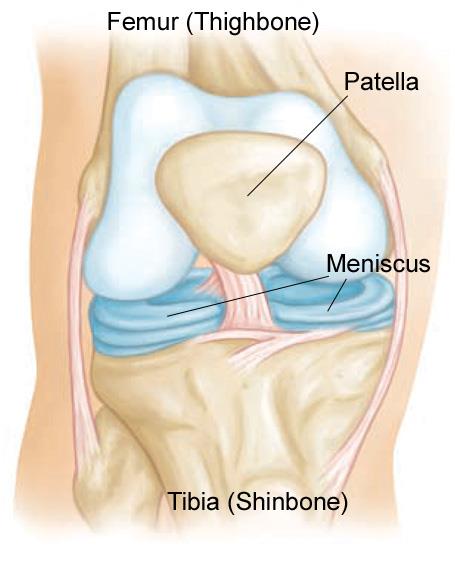 meniscus injury meniscus injury