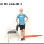 Hip abductors & adductors